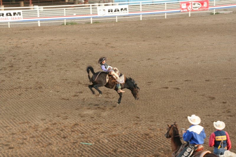 Trip (188).JPG - Bucking broncos at the Cody, Wyoming rodeo